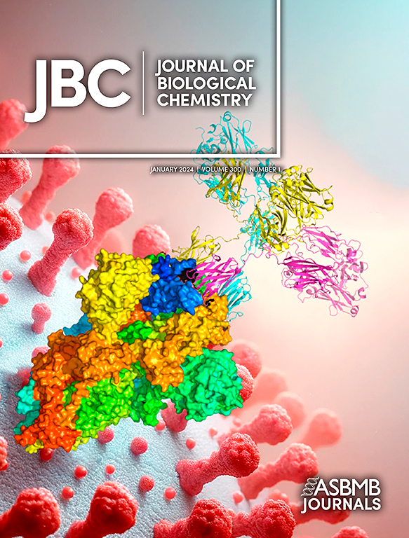 Go to journal home page - Journal of Biological Chemistry